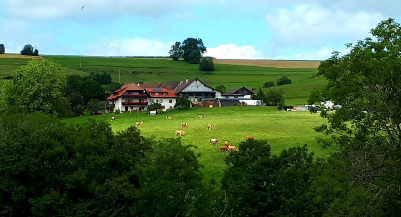 Ferienwohnung Eckert Weilheim Zewnętrze zdjęcie